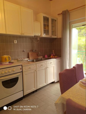 Apartments Pipunic